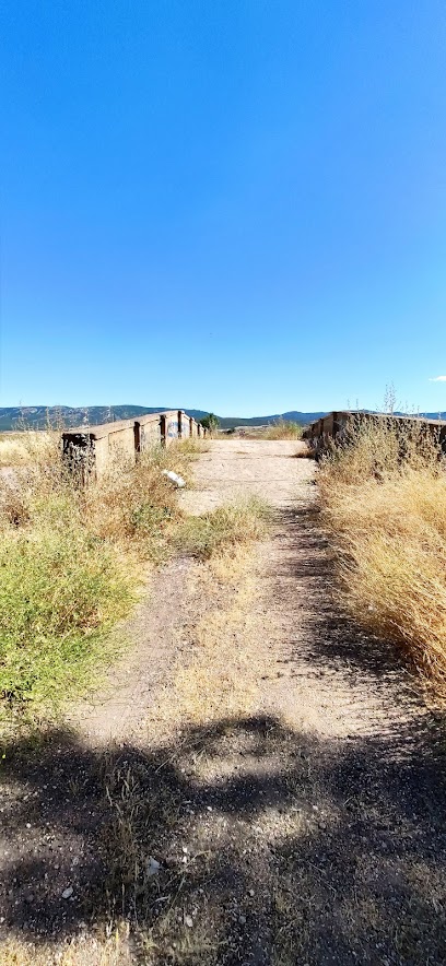 Puente de la Melocotona (Museo Minería)