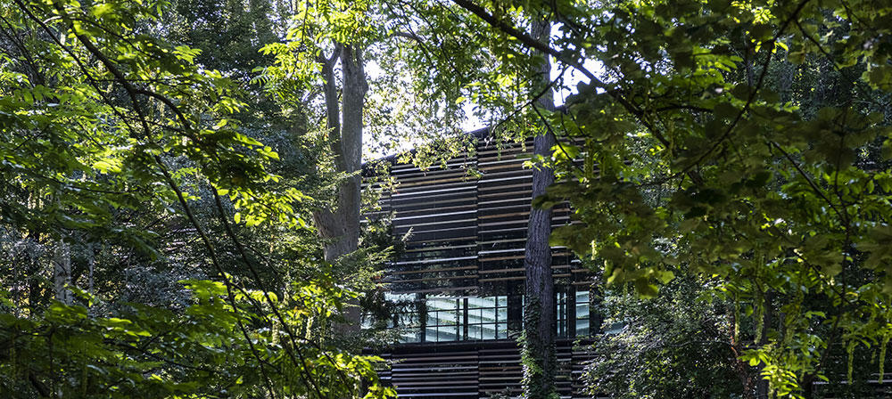 Museo y Jardín Albert-Kahn