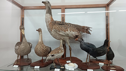 Museo de Ciencias Naturales