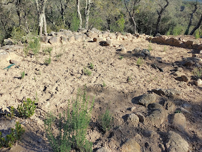 Poblat Ibèric Puig del Castell