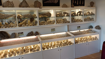 Museu dels Fòssils