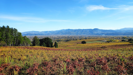 Yacimiento arqueológico Castro Ventosa