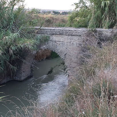 Puente-acueducto sobre Acequia de Urdan