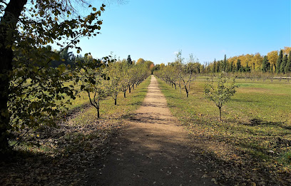Paseo de la primavera