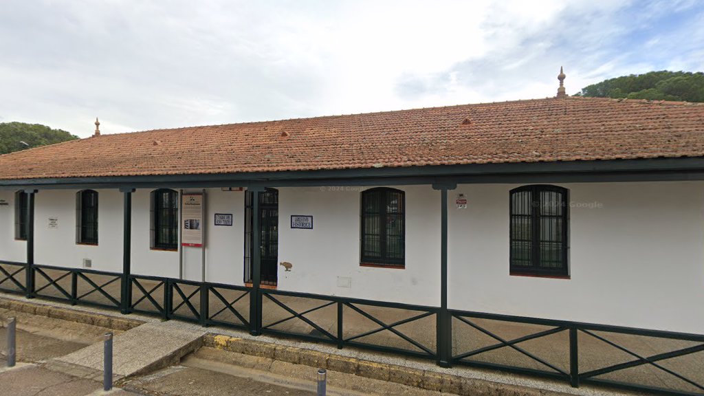 Archivo Histórico Minero