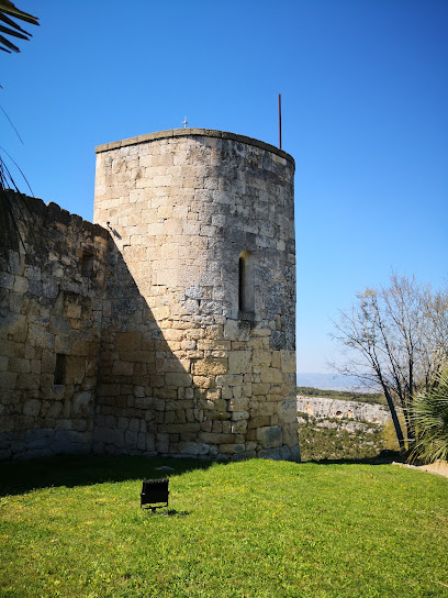 Cases i sils medievals d'Olèrdola