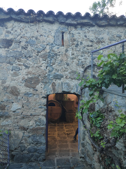 Museu de la Vinya i del Vi