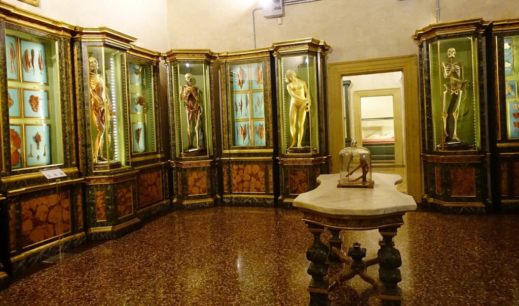Museo Palazzo Poggi