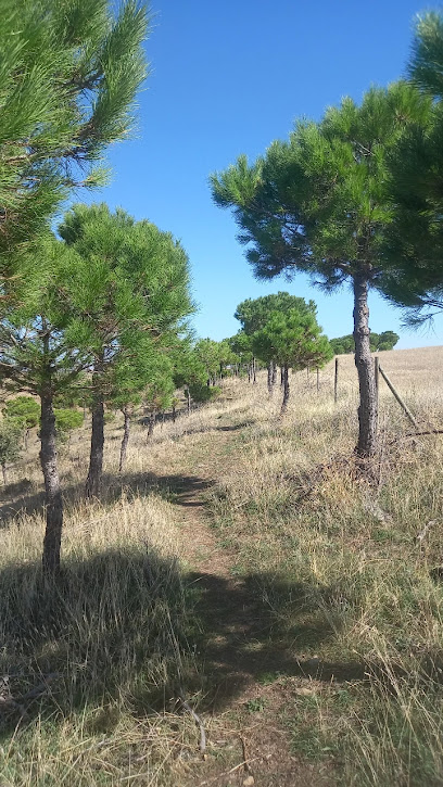 Monte De Cantimpalos
