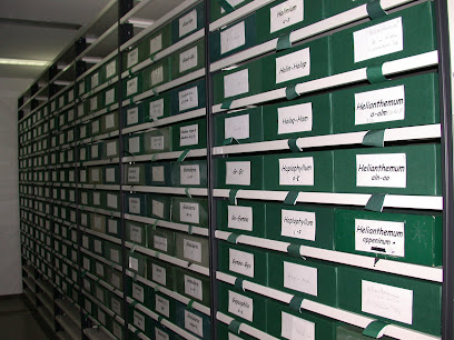 Centre de Documentació de Biodiversitat Vegetal