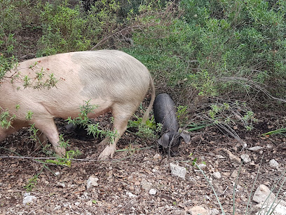 La Guarida del p0llón