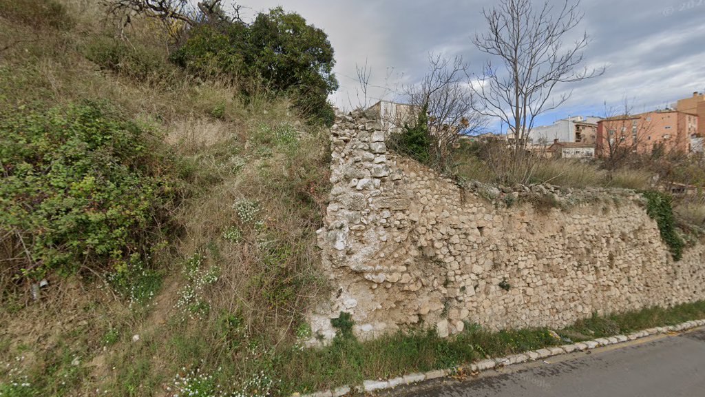 Museo Isurus