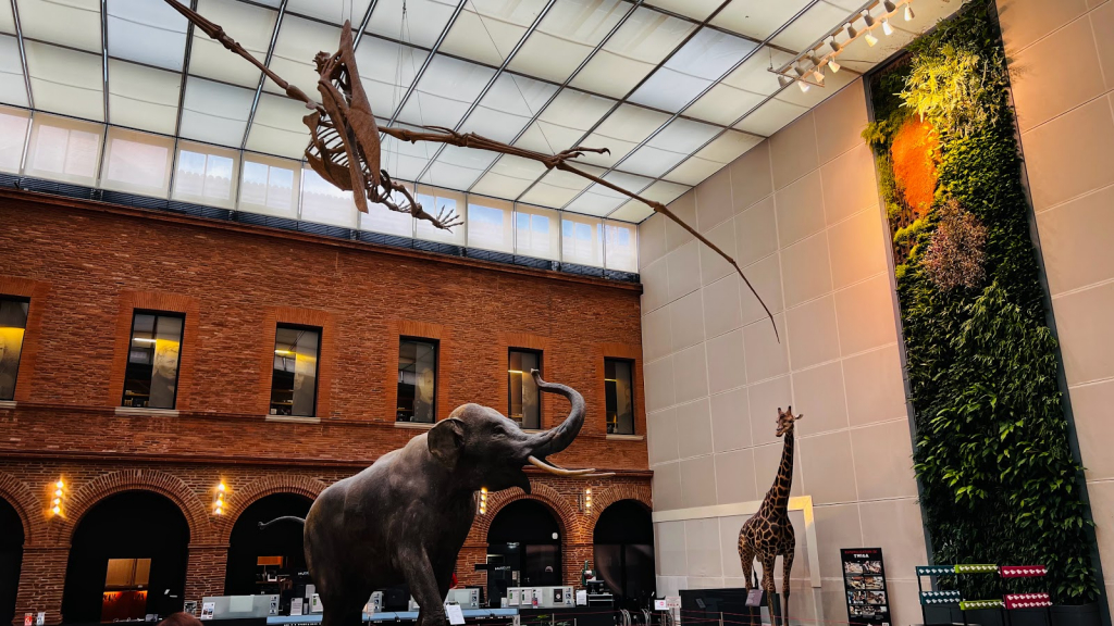 Museo de Toulouse