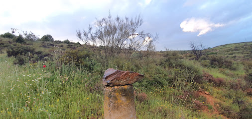 Museo Aula geológica