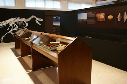 Colección Museográfica JMR (Millares)