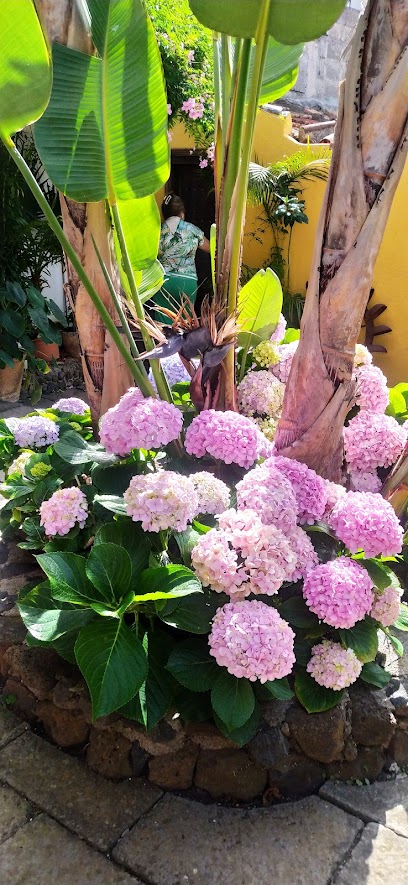 Molino de Agua de Cubo Alto