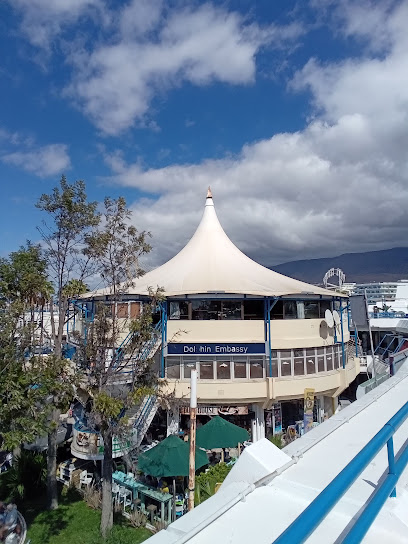 Dolphin Embassy