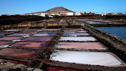 Arinaga Salt Marshes