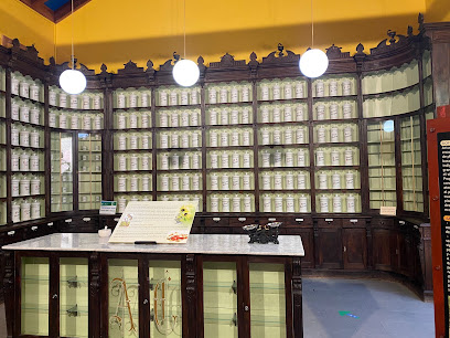 Centro de Plantas Medicinales de Tejeda