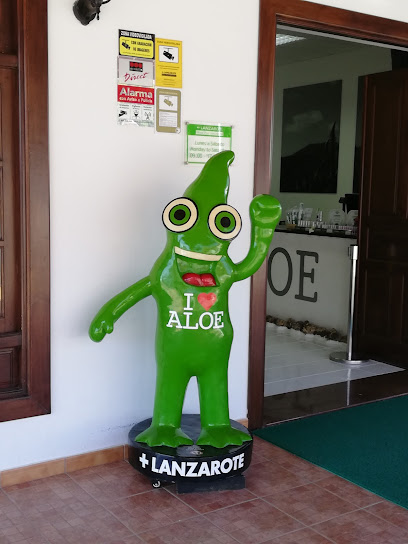 Aloe lanzarote