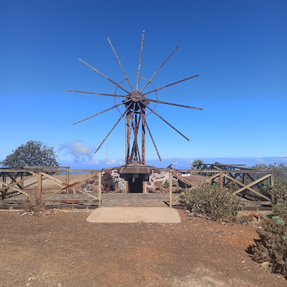 Museo del Mojo