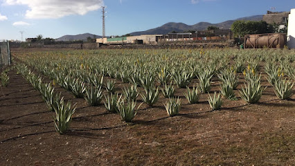 FINCA ALOE VERA LUXURY.COM STORE