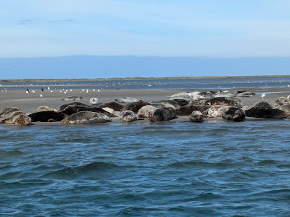 Robbensafari Treffpunkt (Jyllands Akvariet)