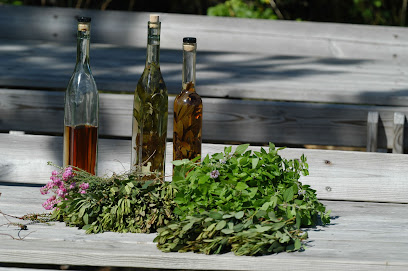 Museo de Historia Natural de Skagen - Centro Natural de Skagen