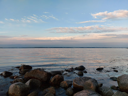 Snorkelstien en Hornbæk Plantage