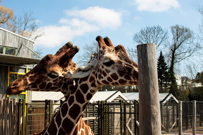Zoológico de Odense Port4