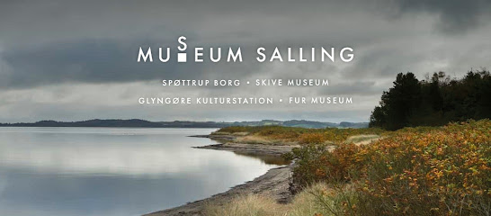 Museo Salling