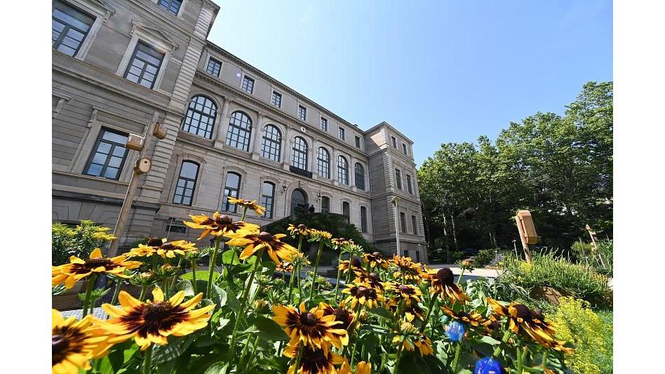 Museo de Arte e Industria