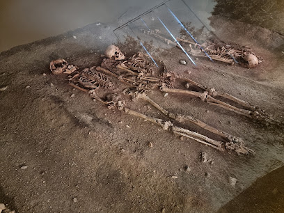 Los hallazgos de Vedbæk