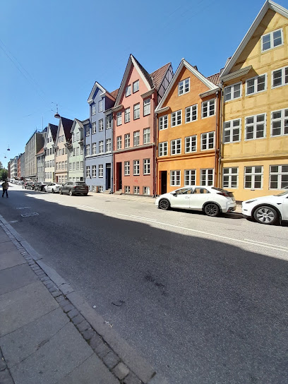 Instituto Danés del Cine