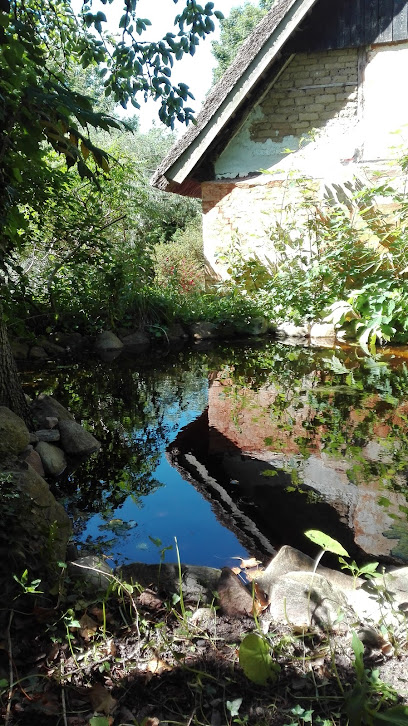 Museo de Arte y Jardín Kongsøre