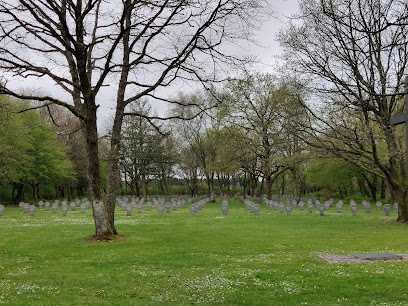 Tumbas de Guerra Danesas