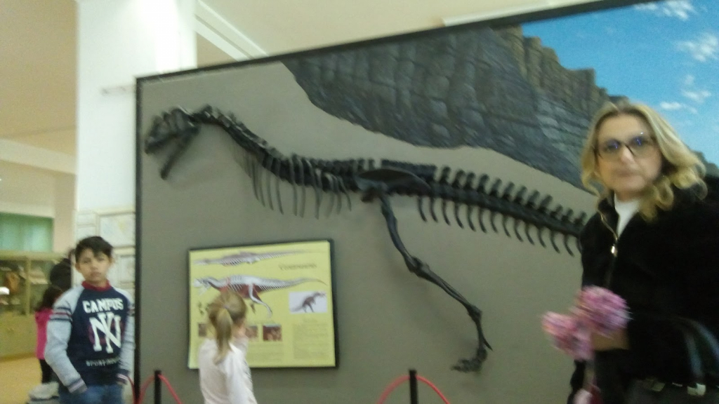 Museo de Ciencias de la Tierra