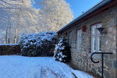 Museo Silkeborg, Blicheregnen