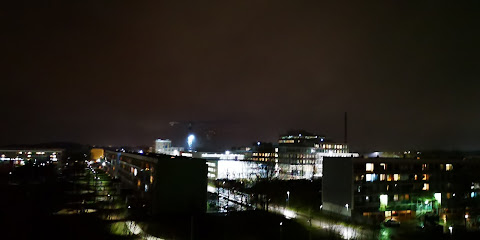 Amigos del Museo de Gellerup