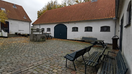 Colección e Archivo Byhistórico