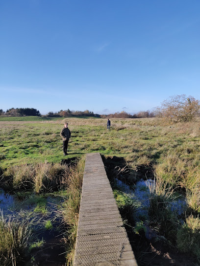 El Fuerte de Borremose