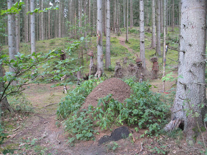 Ruta de Arte Ud i Kunsten Fussingø