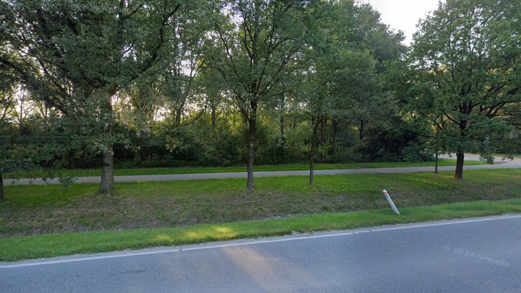 Museo de la Edad Media de Odense