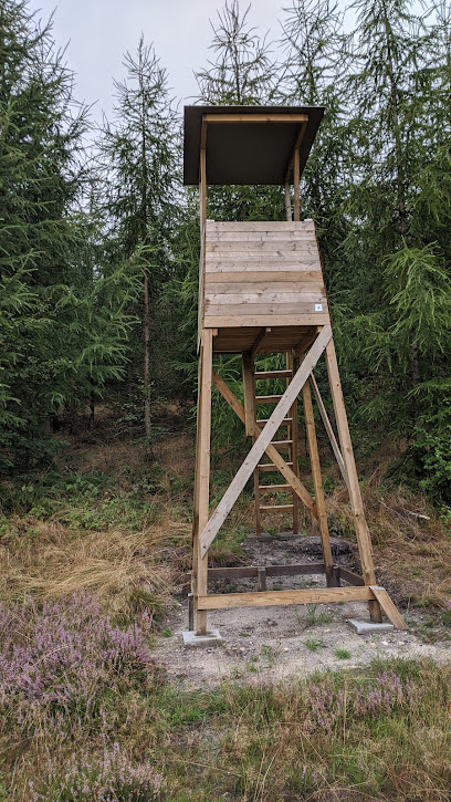 Torre de Observación