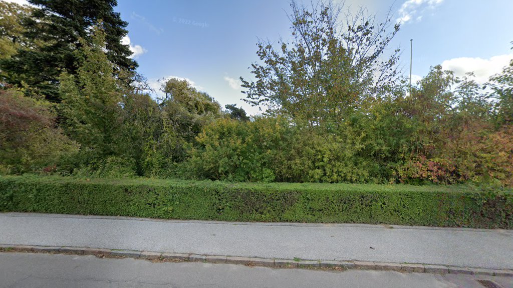 Plaza frente a Saxenhus