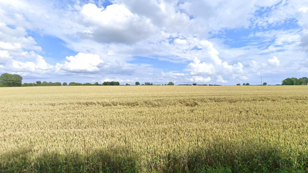 Amigos del Museo de Fredericia