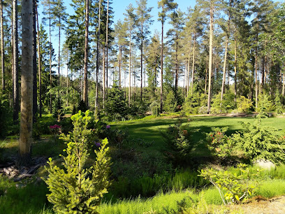 Arboreto Ilola