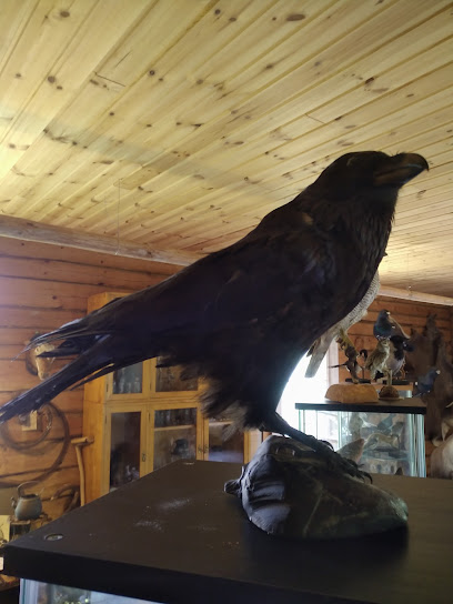 Museo de Taxidermia Hägg