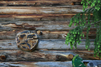 Fundación del Museo Särestöniemi