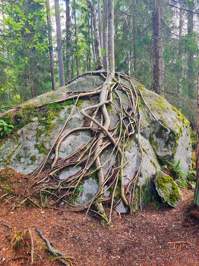 Granja del Patrimonio Korteniemi